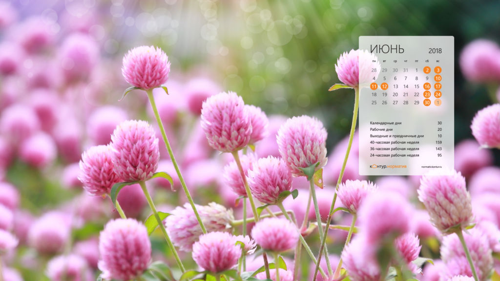 Красивые календари для рабочего стола