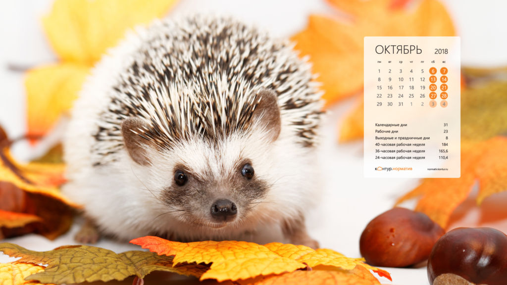 Красивые календари - Октябрь 2018