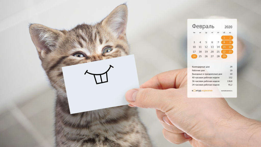 Красивые календари на рабочий стол (обои) февраль 2020