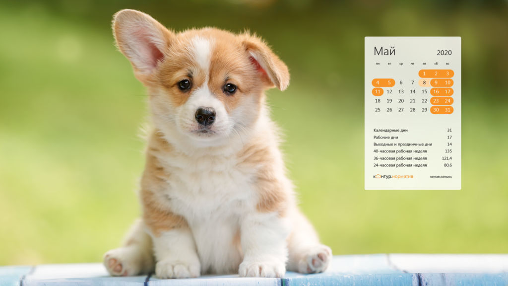 Красивые календари (обои) на рабочий стол. Май 2020 Красивые календари (обои) на рабочий стол. Май 2020
