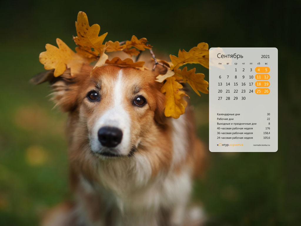 Красивые календари на рабочий стол. Сентябрь