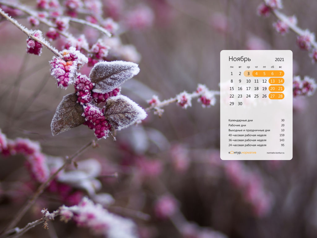Красивые обои на рабочий стол. Ноябрь 2021 Красивые обои на рабочий стол. Ноябрь 2021