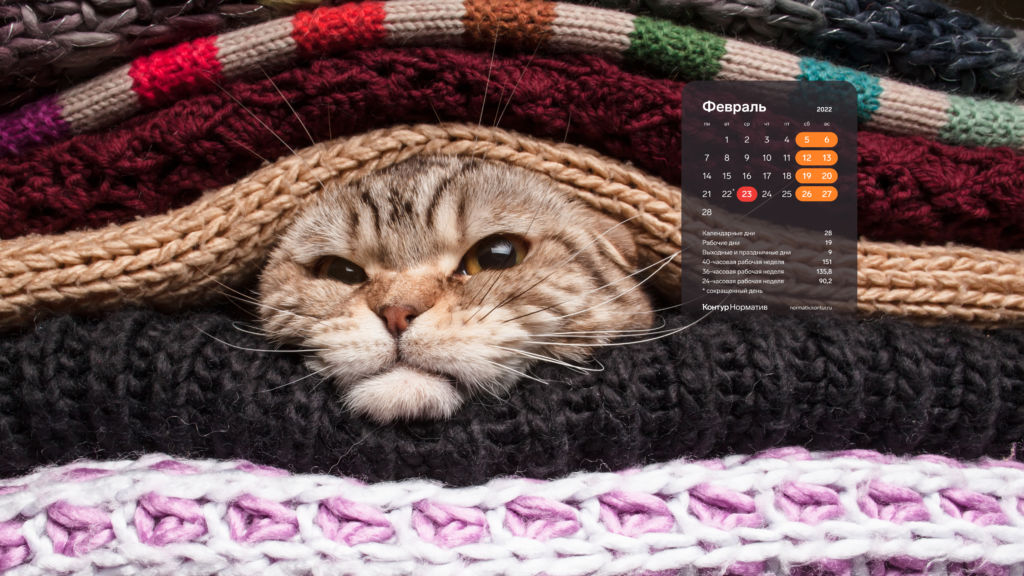 Февраль 2022. Календарь на рабочий стол Февраль 2022. Календарь на рабочий стол