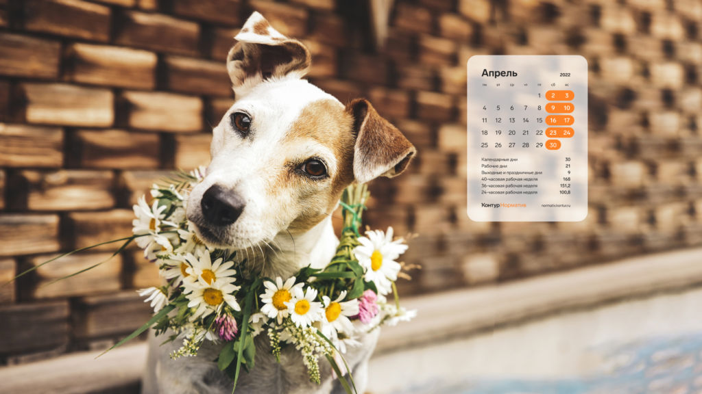 Апрель 2022. Календарь на рабочий стол