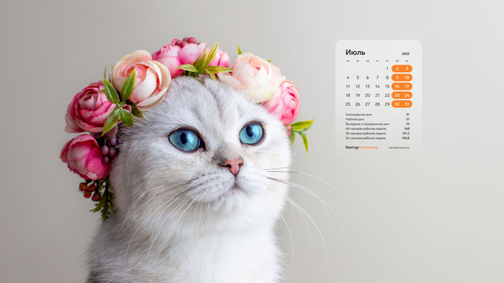 Июль 2022. Календарь на рабочий стол
