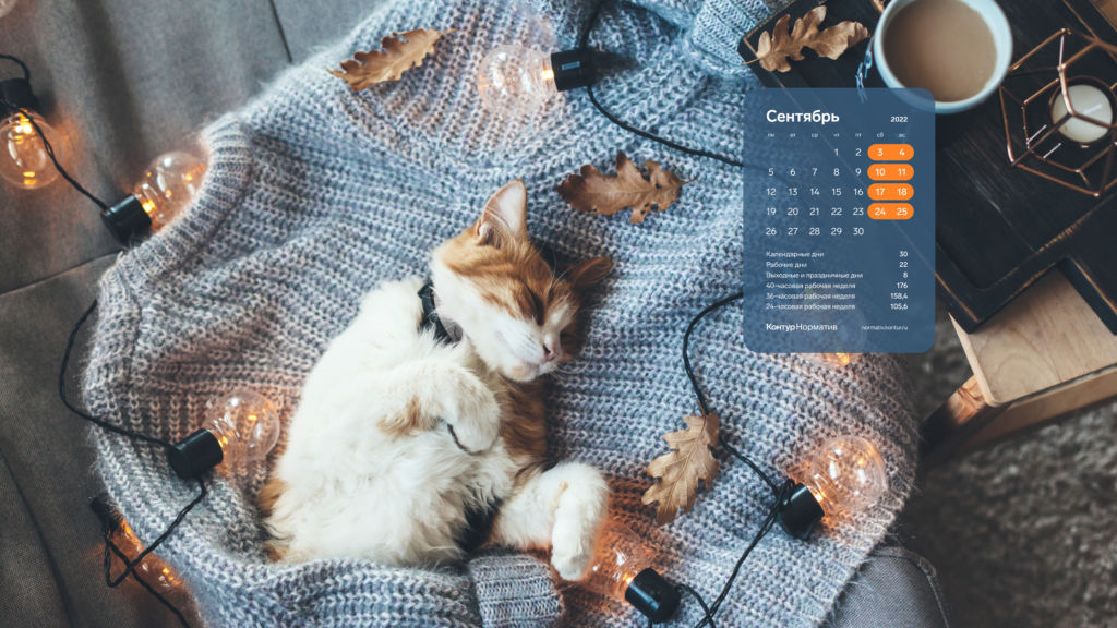 Сентябрь 2022. Календарь на рабочий стол