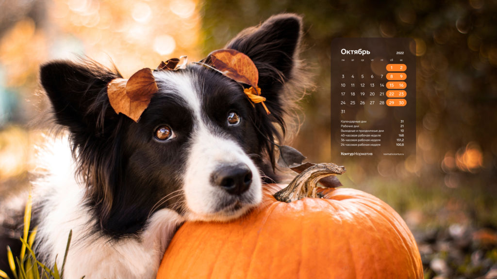 Октябрь 2022. Календарь на рабочий стол