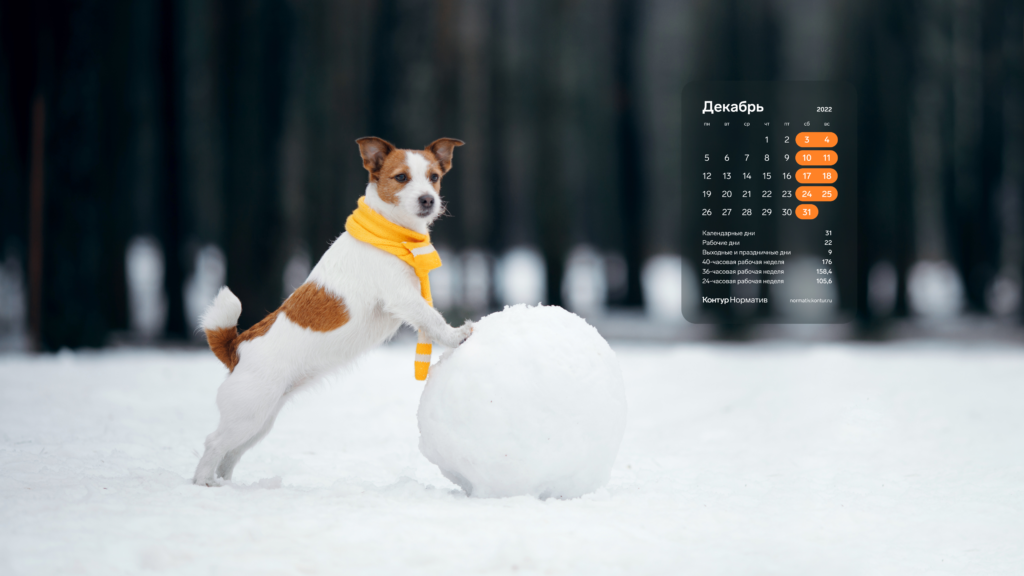 Декабрь 2022. Календарь на рабочий стол