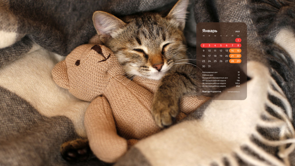 Январь 2023. Календарь на рабочий стол.