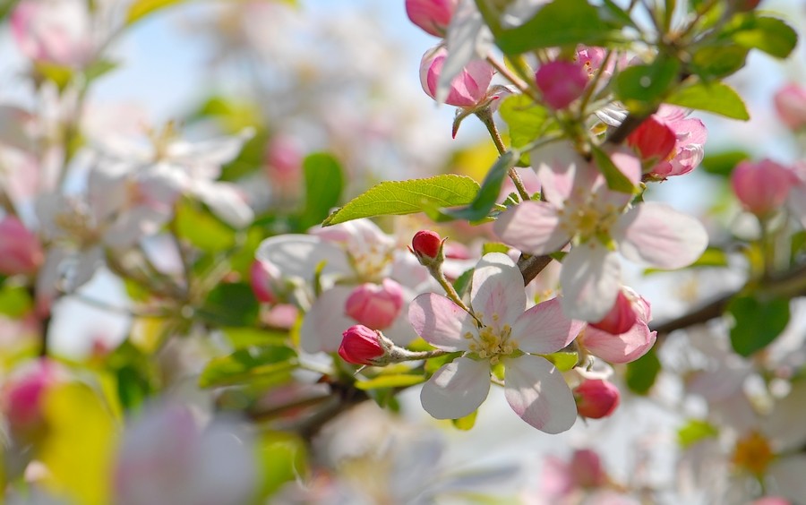 Список важных дел для бухгалтера на апрель 2023 года