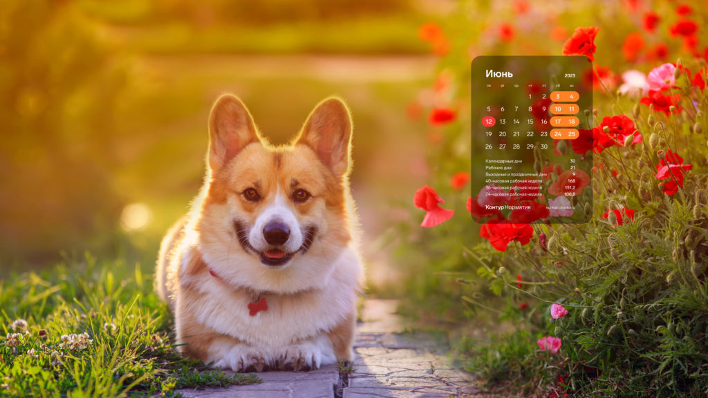 Июнь 2023. Календарь на рабочий стол