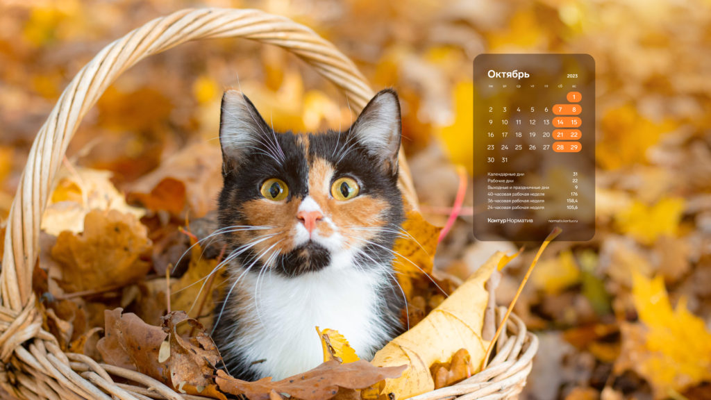 Октябрь 2023. Календарь на рабочий стол