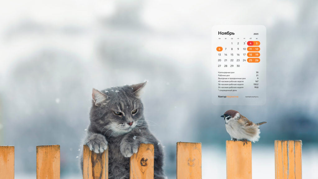 Ноябрь 2023. Календарь на рабочий стол