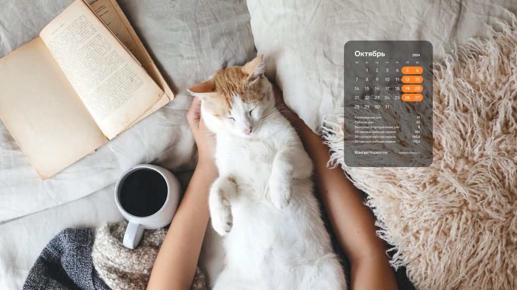 Октябрь 2024. Календарь на рабочий стол.